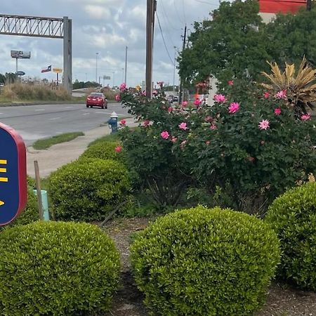 Raintree Inn And Suites Houston Exterior foto